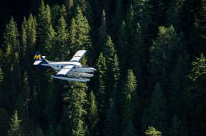 Harbour Air DHC-3 Single Otter 